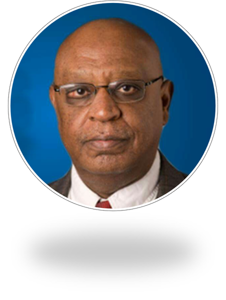 Prof. Osama Awad Al-Karim